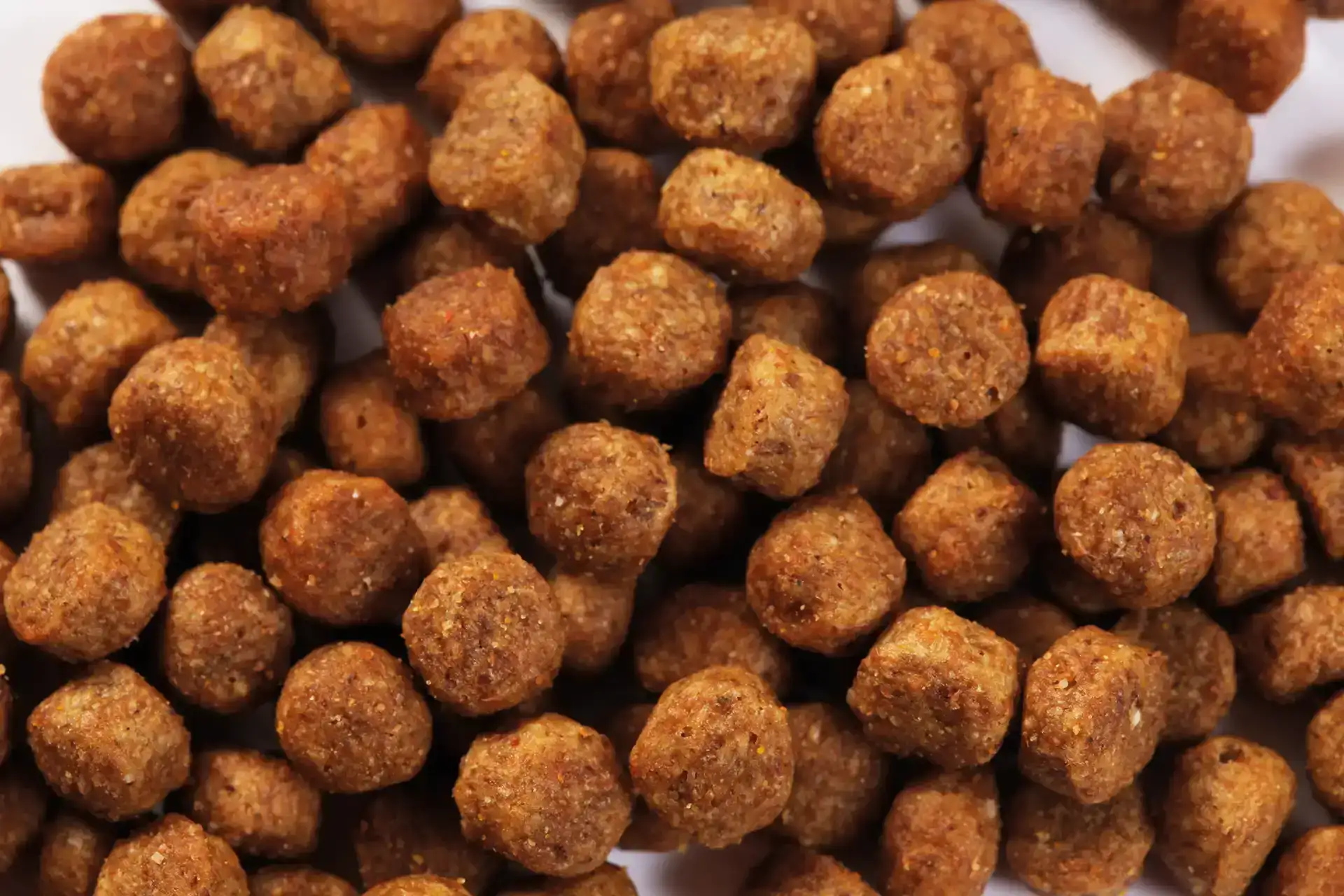 specific-cxd-s-adult-small-breed-aliments-pour-chiens Aliment de Specific pour chiens adultes de petites races