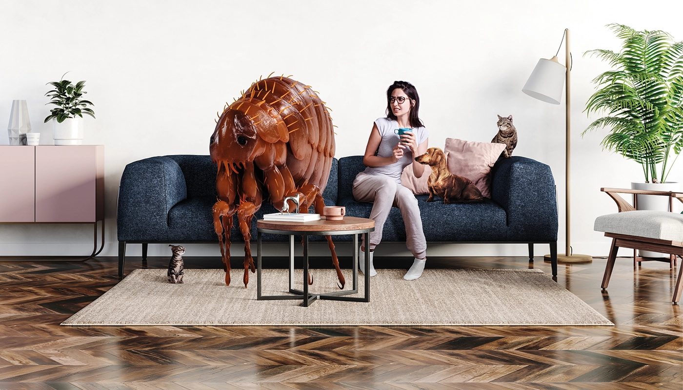 flee-un-invite-indesirable-dans-ton-salon FLEE - Un invité indésirable dans ton salon