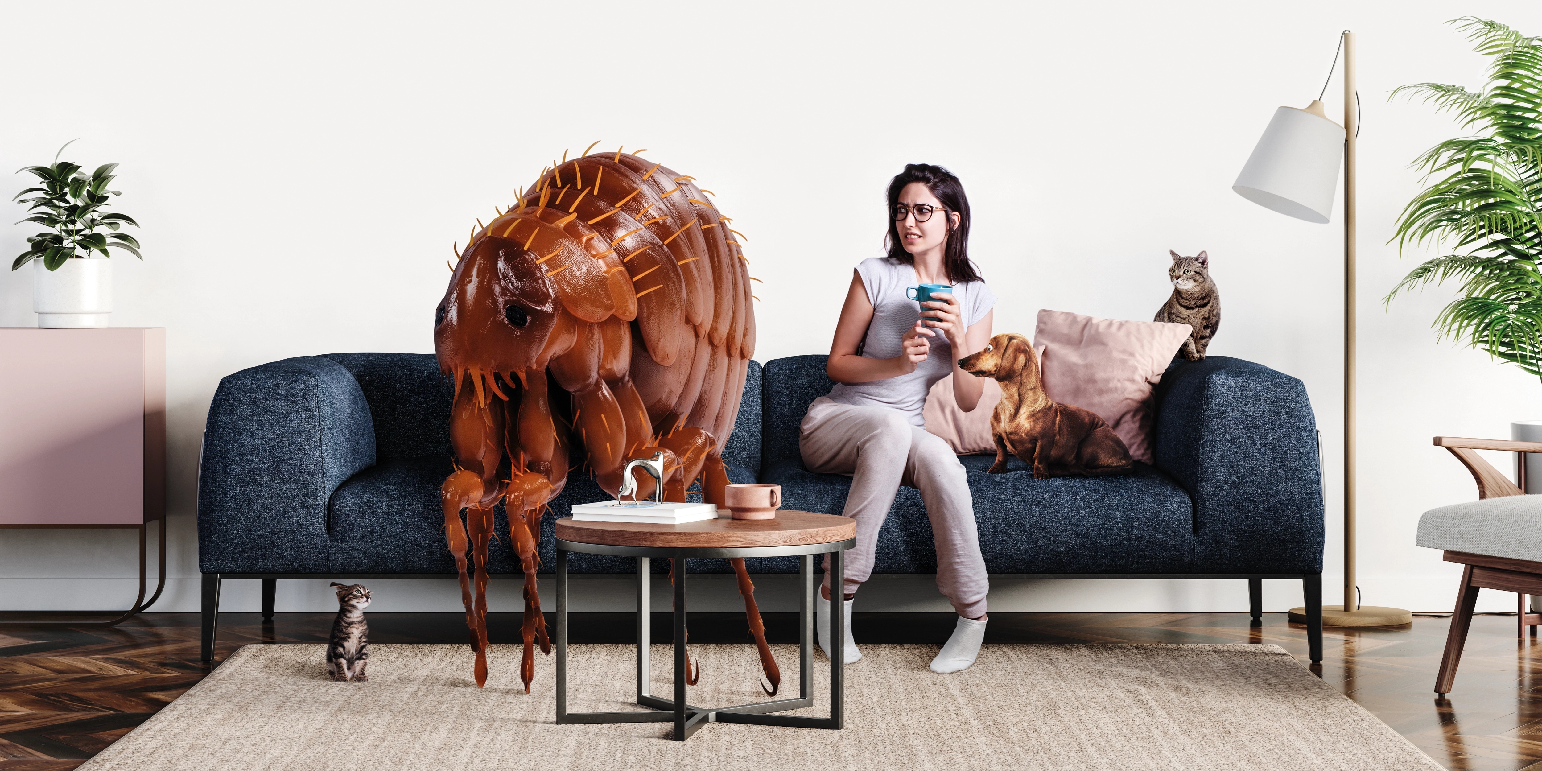 FLEE - Ungebetener Gast in deinem Wohnzimmer