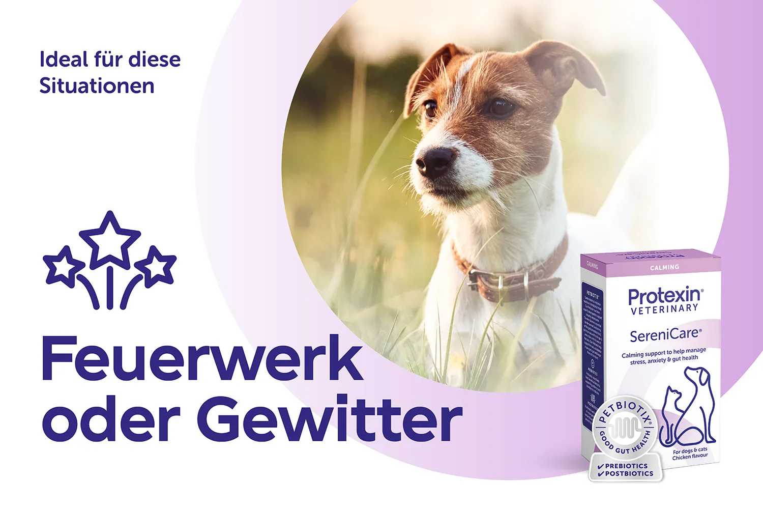 Protexin Serenicare kann Hunden und Katzen in stressigen Situationen helfen