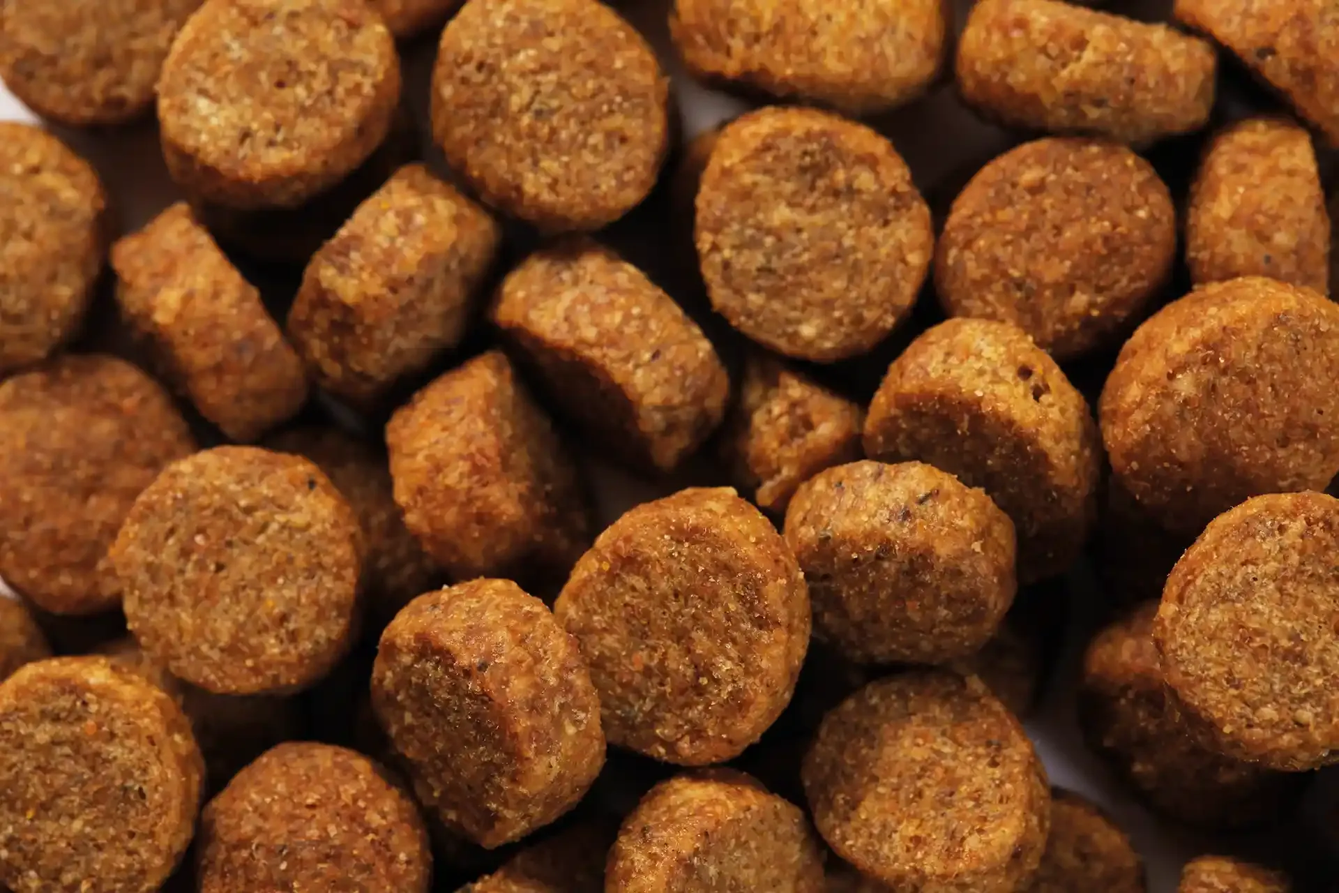 specific-cjd-joint-support-aliments-pour-chiens Aliment de Specific pour chiens adultes, pour le soutien de la fonction articulaire