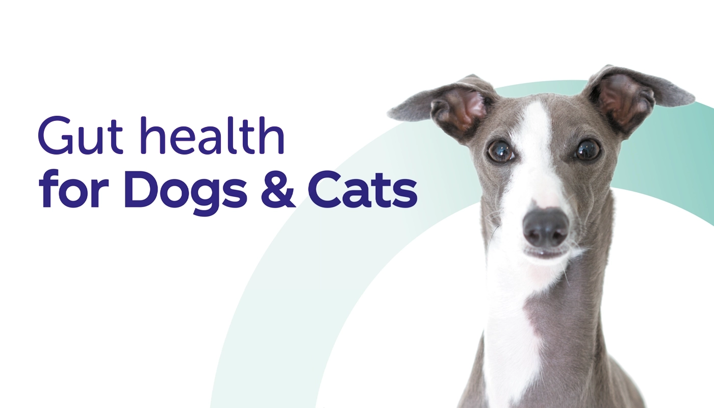 protexin-sante-intestinale-pour-chiens-et-chats Protexin - Santé intestinale pour chiens et chats