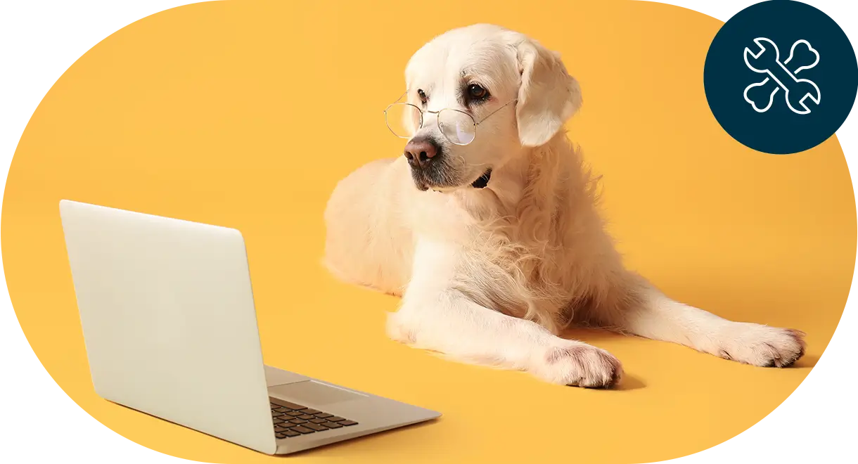 hund-liegend-vor-dem-laptop Hund liegend vor dem Laptop