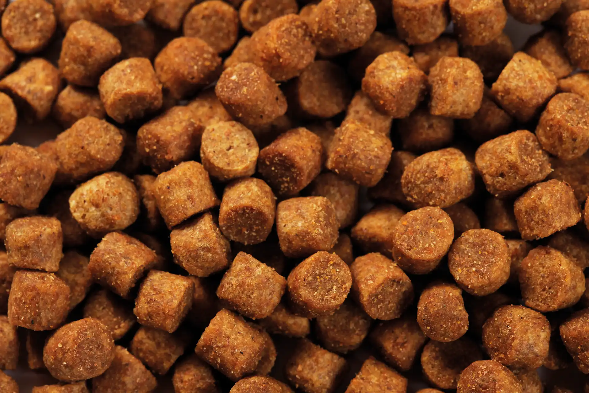 Futter von Specific für Welpen kleiner Rassen