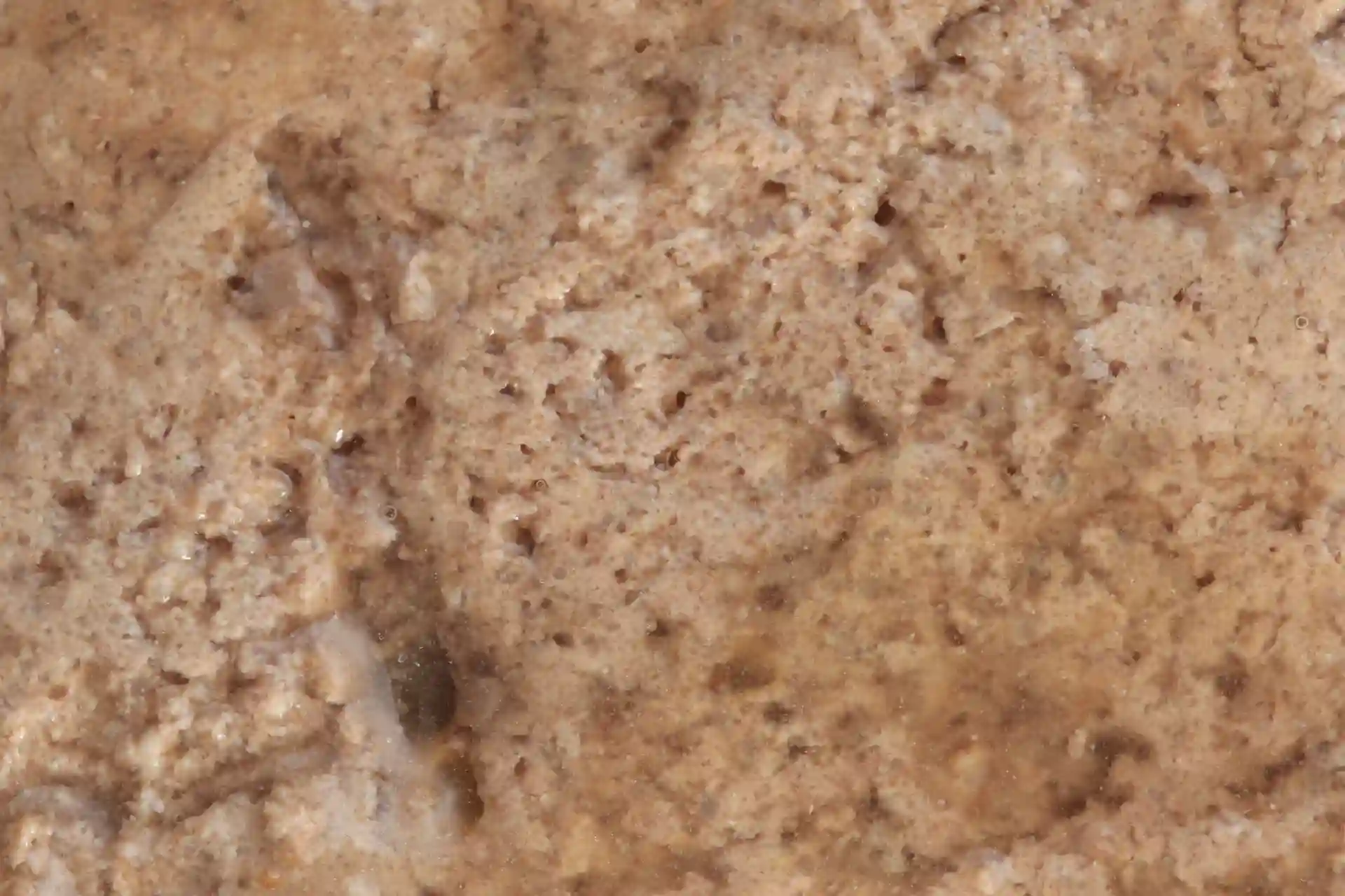 specific-fjw-joint-support-aliments-pour-chats Aliment diététique de Specific pour chats adultes, pour le soutien du métabolisme des articulations en cas d’ostéoarthrose