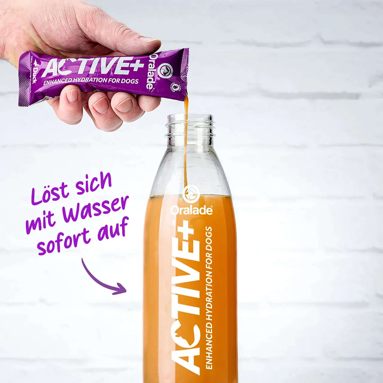 ACTIVE+ Concentrate Ente - elektrolythaltiges Getränk für Hunde ACTIVE+ Concentrate Ente - elektrolythaltiges Getränk für Hunde