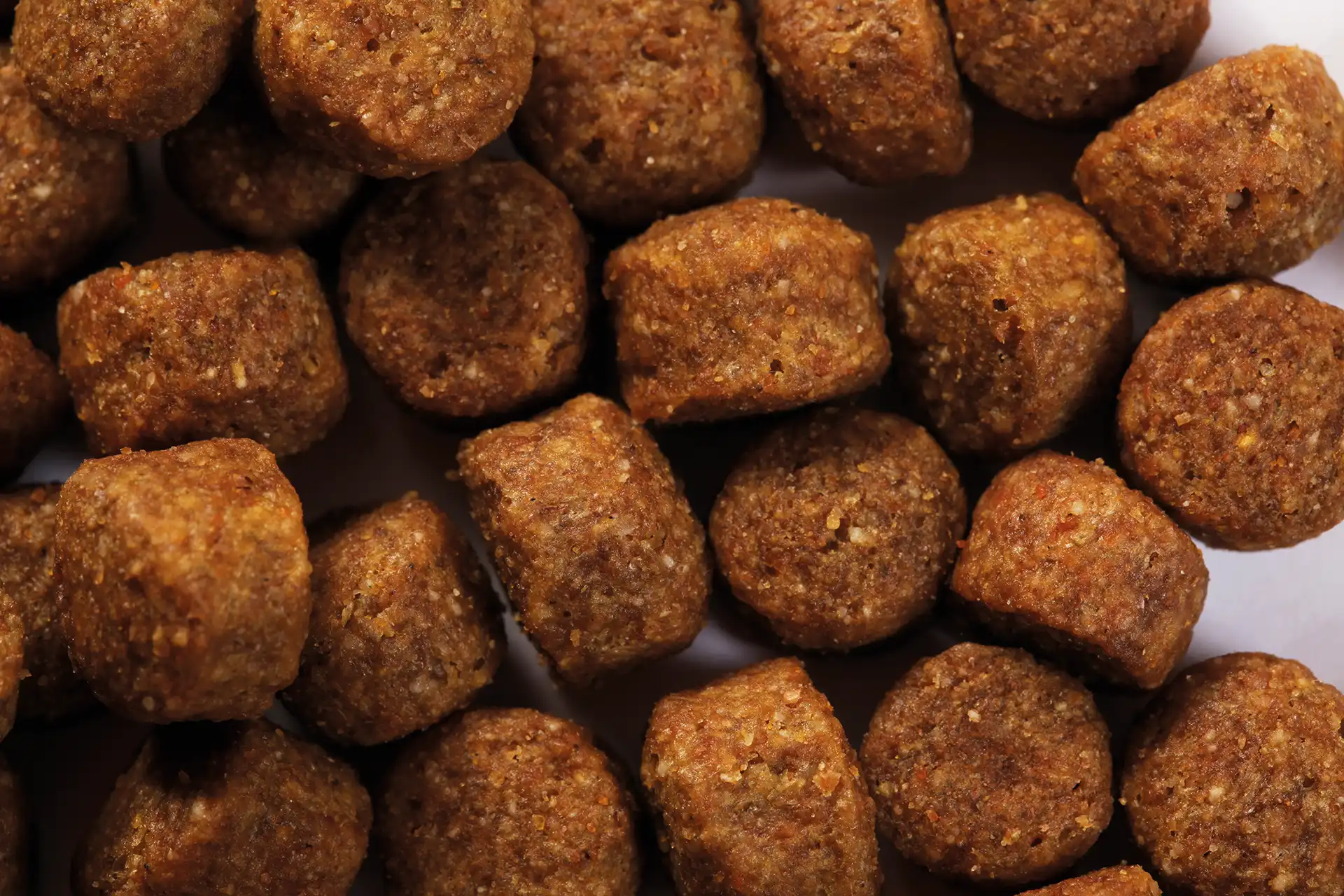 specific-cxd-xl-adult-large-and-giant-breed-aliments-pour-chiens Aliment de Specific pour chiens adultes de grandes races ou de races géantes