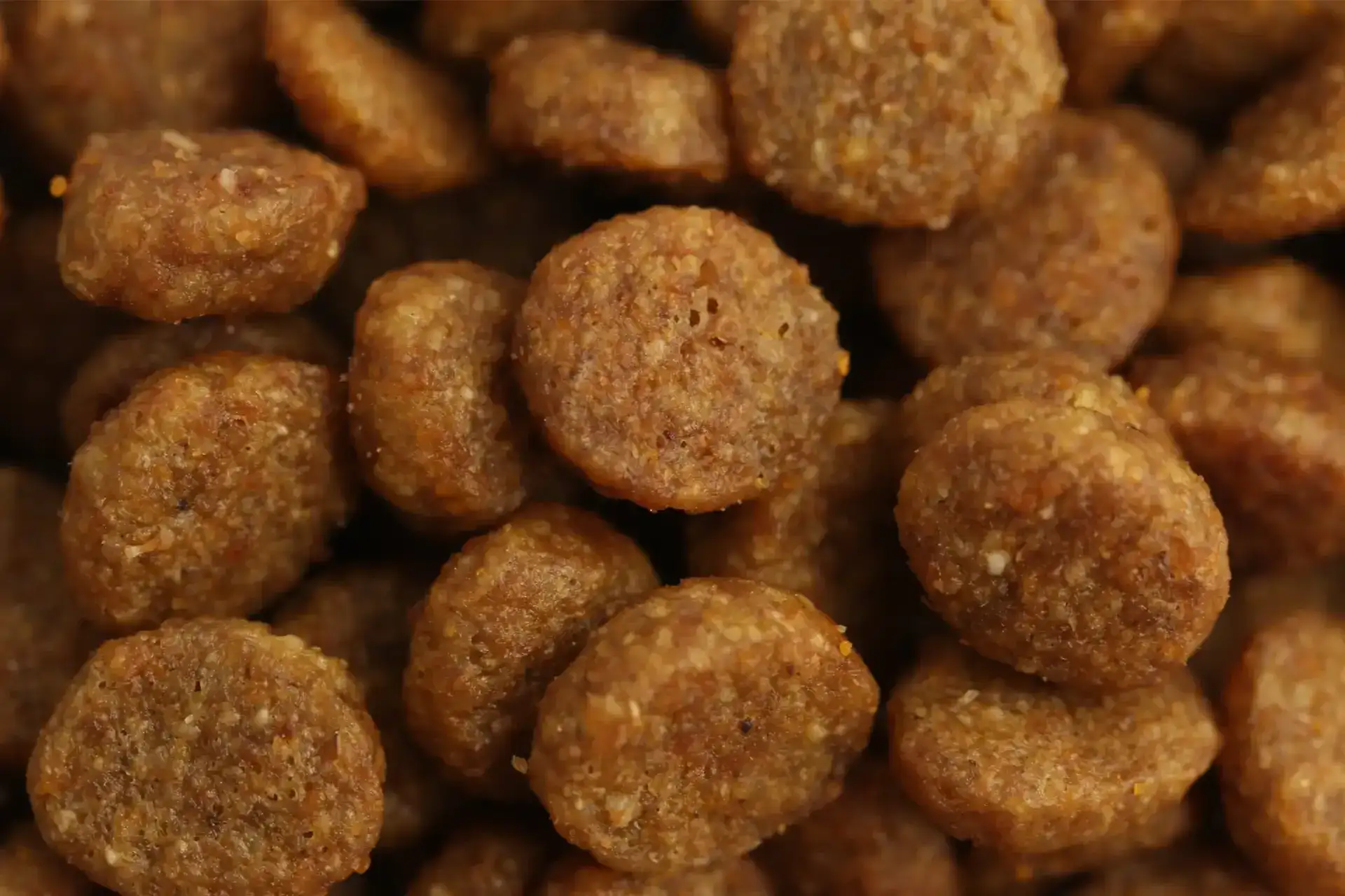 specific-fjd-joint-support-aliments-pour-chats Aliment diététique de Specific pour chats adultes, pour le soutien du métabolisme des articulations en cas d’ostéoarthrose