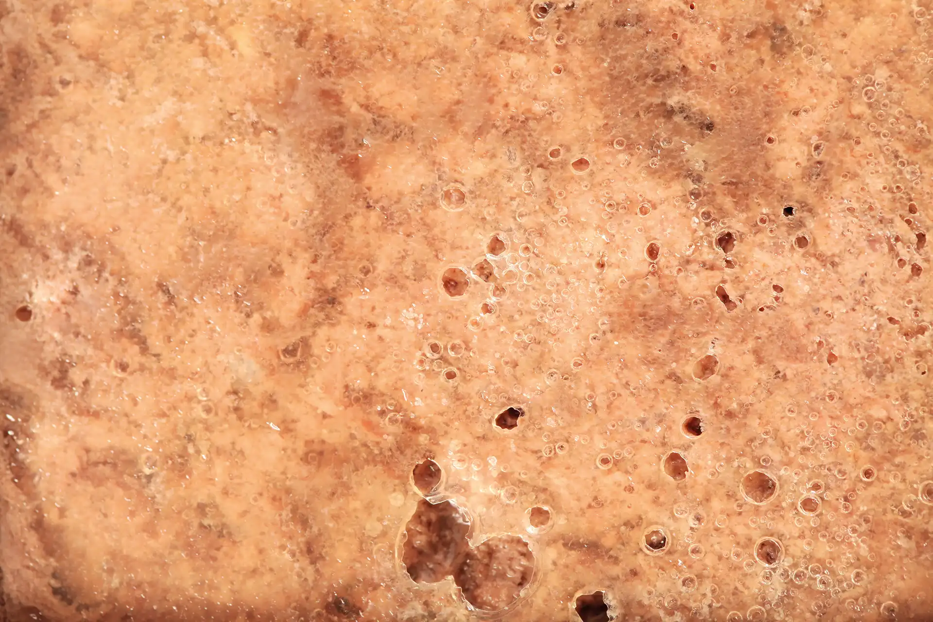 specific-fxw-adult-aliments-pour-chats Aliment de Specific pour chats adultes (1-8 ans)