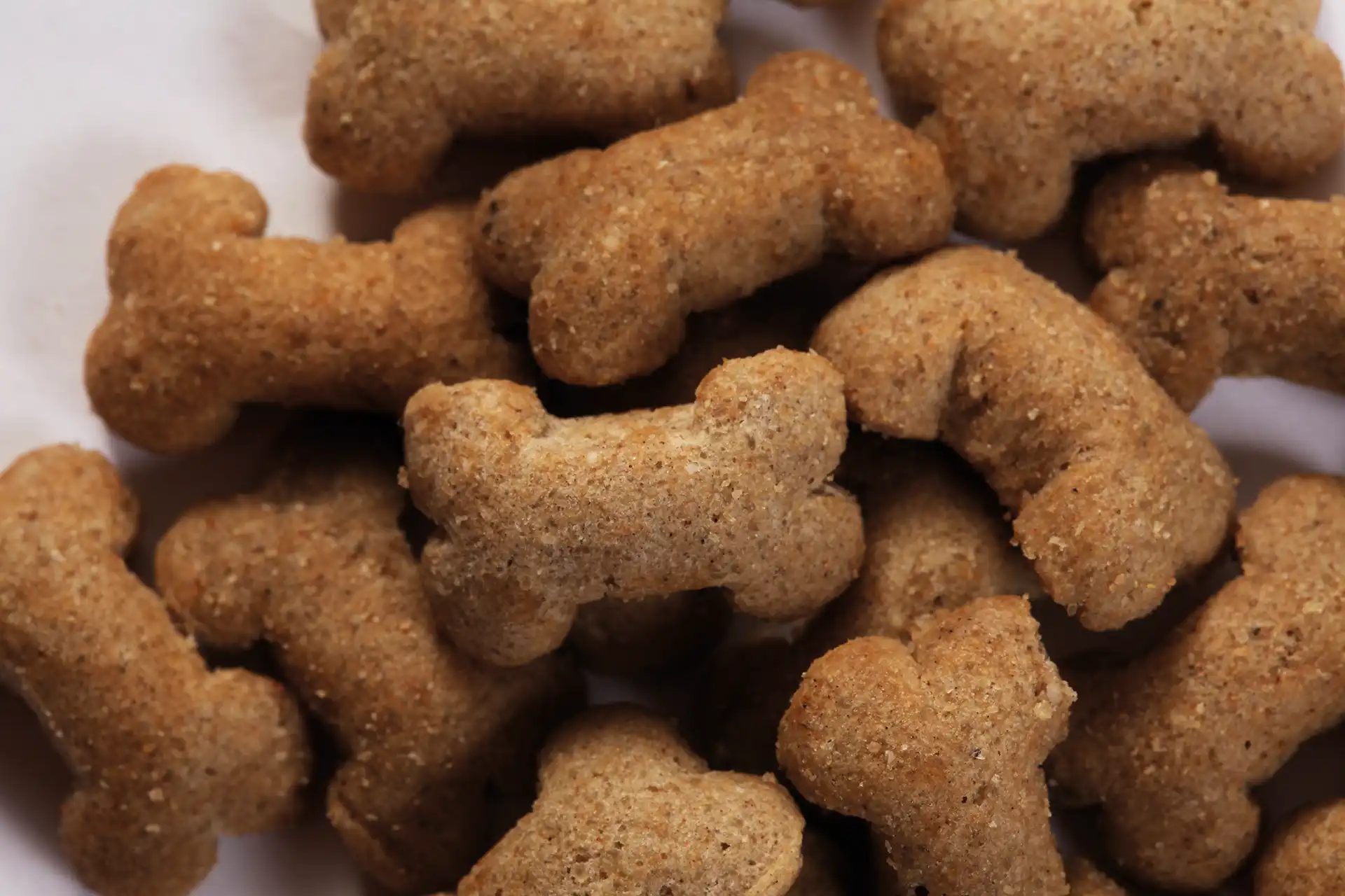 Hypoallergene Kekse von Specific für Hunde