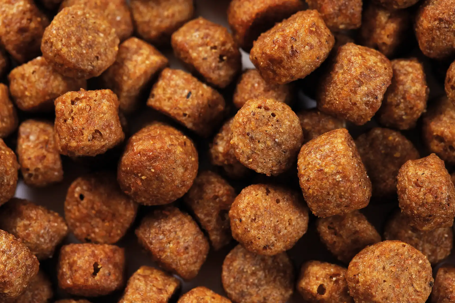 Futter von Specific für erwachsene Hunde mittelgrosser Rassen