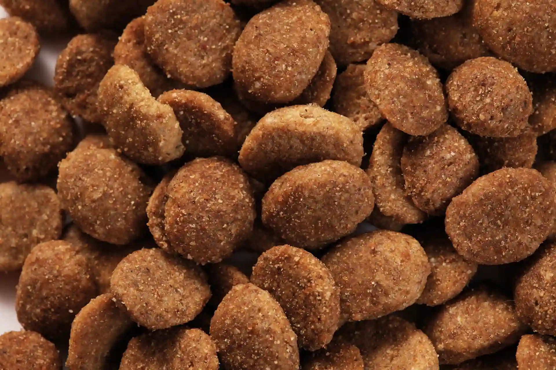 specific-ckd-heart-and-kidney-support-hundefutter Diätfutter von Specific für adulte Hunde zur Unterstützung der Nieren-, Herz- und Leberfunktion