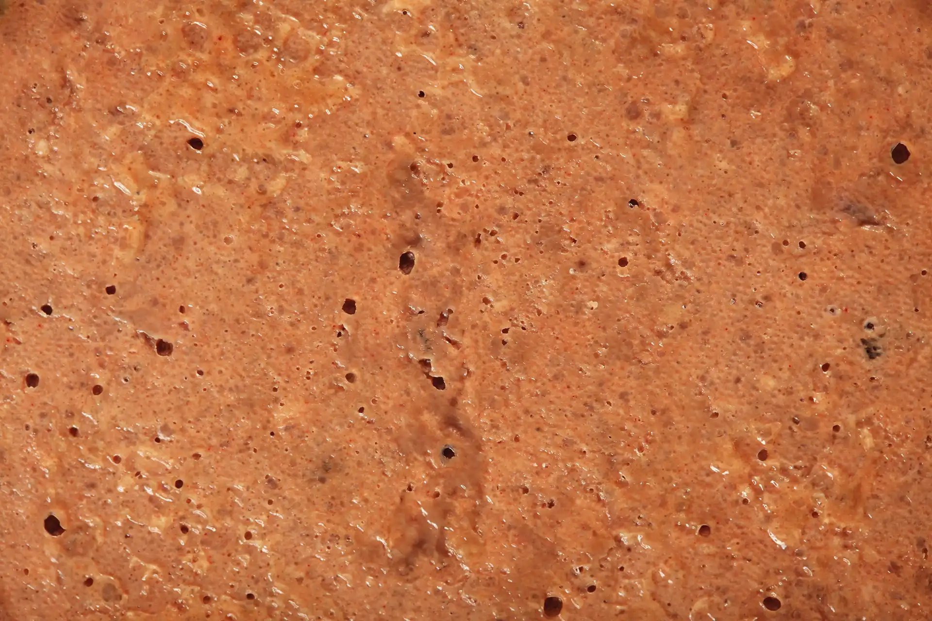Futter von Specific für Kätzchen