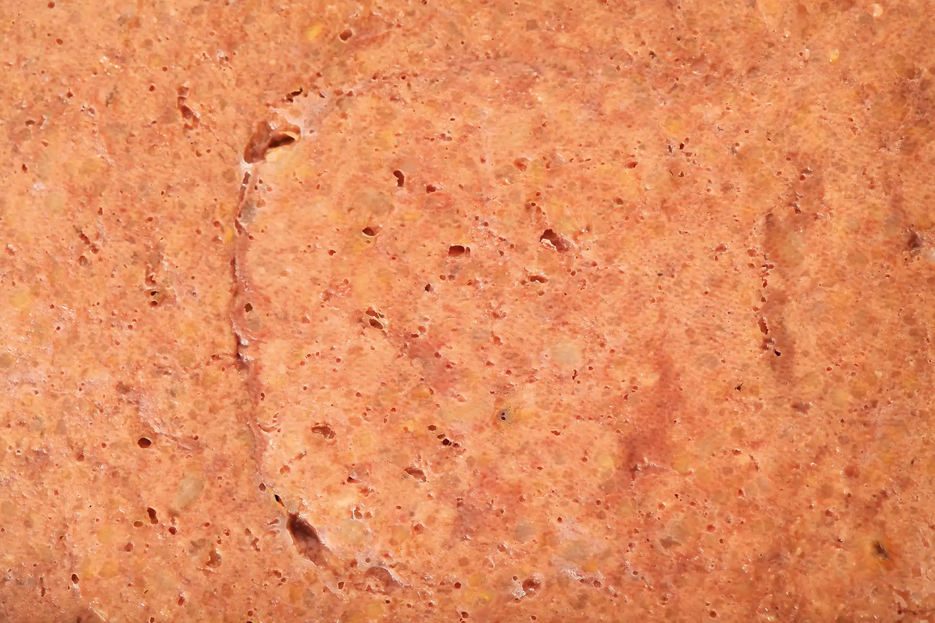 specific-ciw-lf-digestive-support-low-fat-hundefutter Diätfutter von Specific für adulte Hunde zur Unterstützung der Verdauungsfunktion