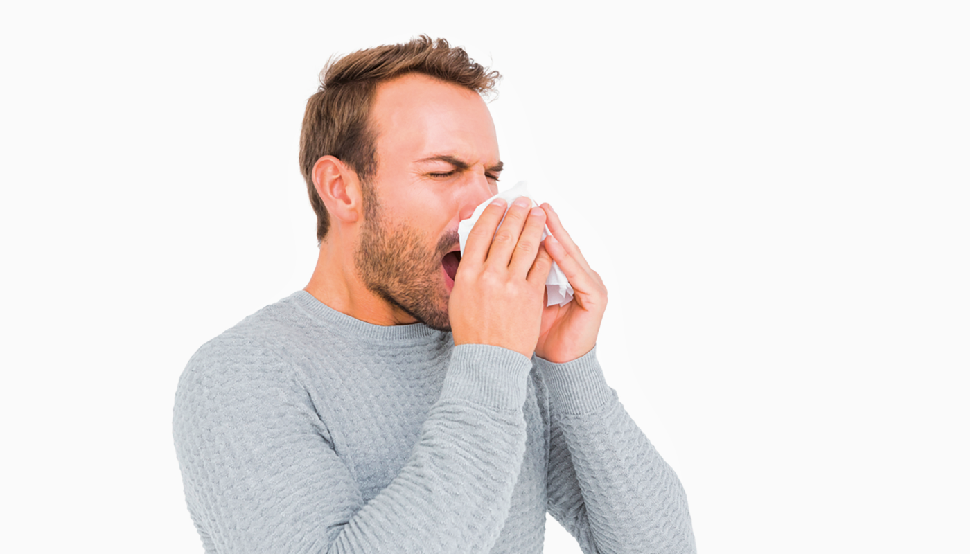 Pourquoi il est indispensable de traiter l’environnement en cas d’infestation de puces