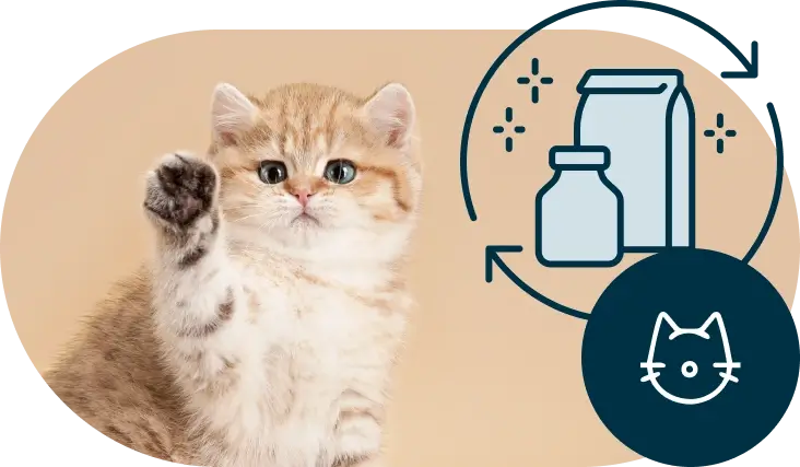 symbole-trouver-un-produit-pour-chats Symbole trouver un produit pour chats