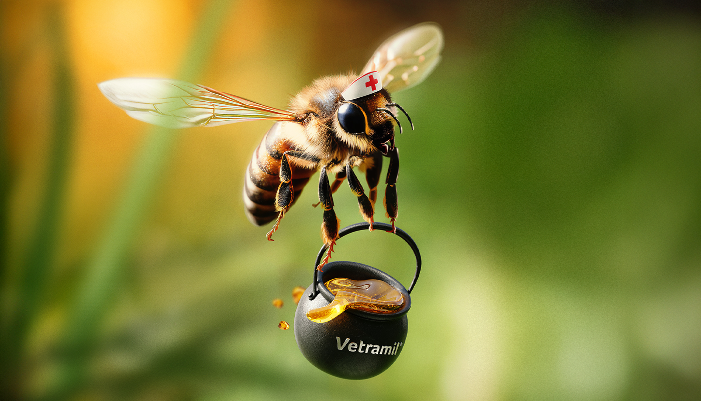 Le miel médicinal – qu’est-ce que c’est et comment peux-tu l’utiliser pour ton animal ?