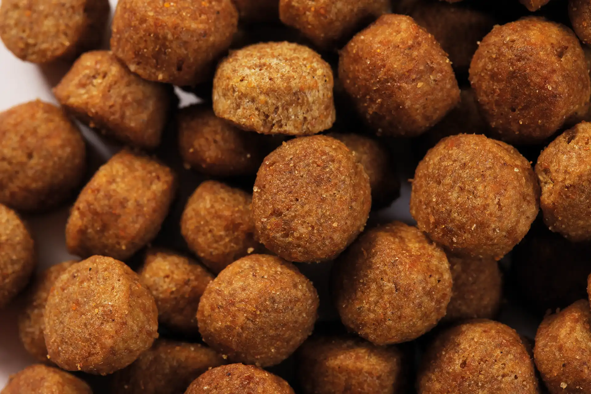 specific-cpd-xl-puppy-large-and-giant-breed-aliments-pour-chiens Aliment de Specific pour chiots de grandes races ou de races géantes