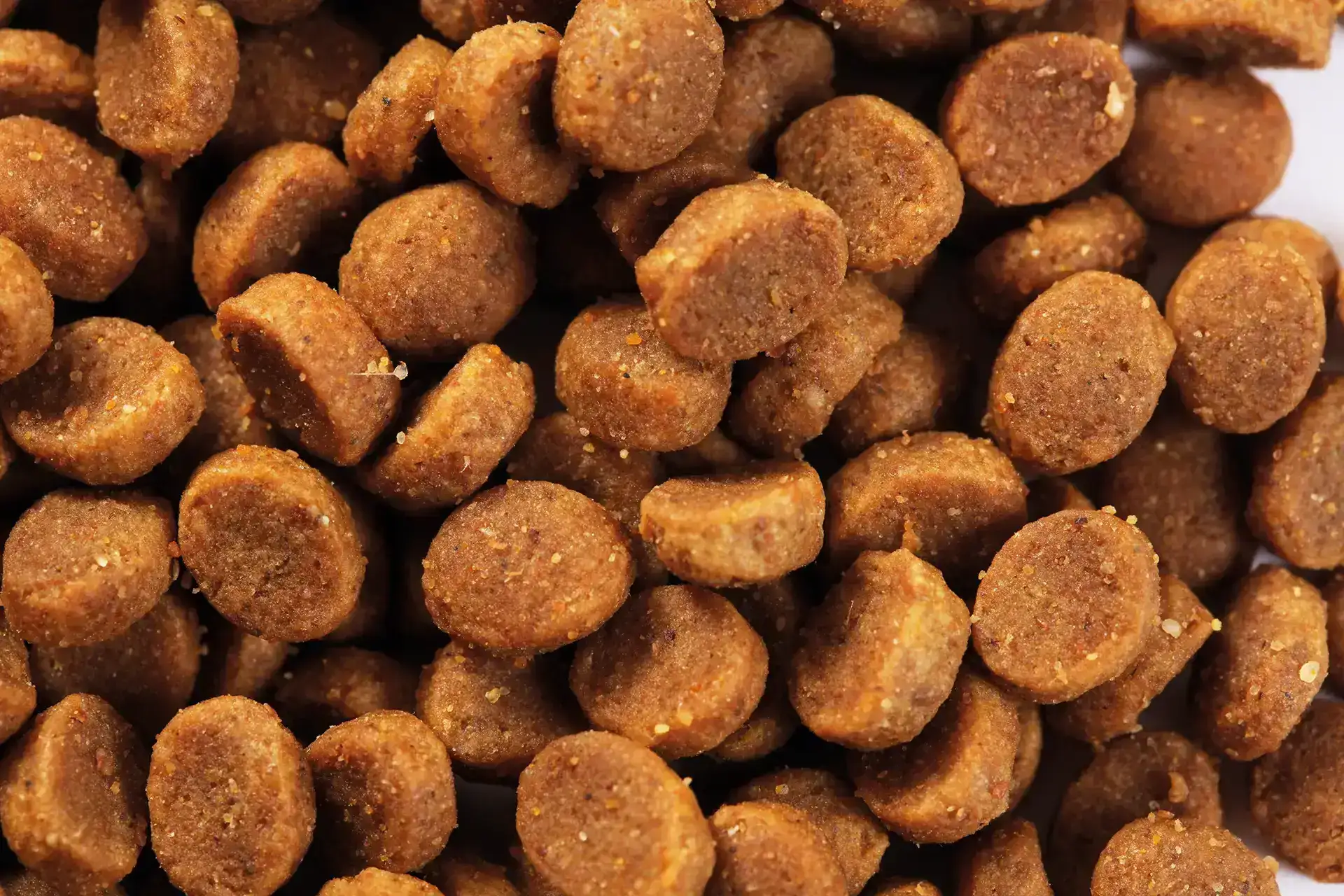 Futter von Specific für aktive Hunde