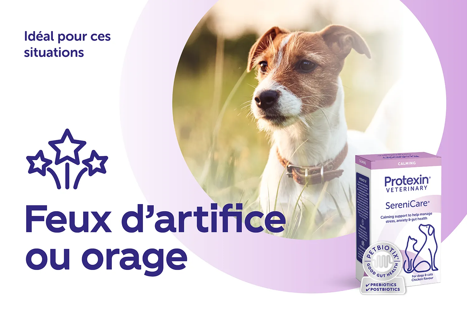 Protexin Serenicare peut aider les chiens et les chats en situation de stress