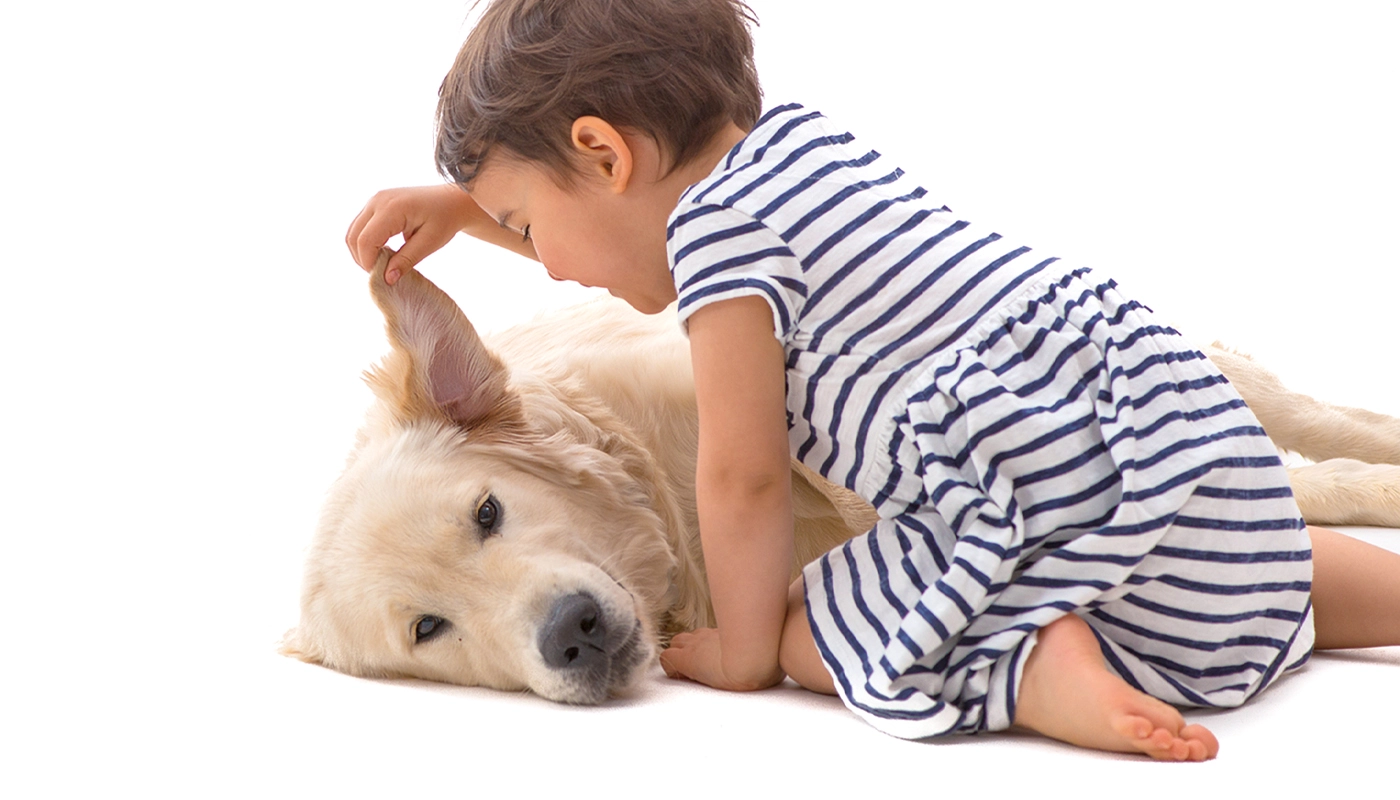 Otite chez le chien : causes, symptômes et traitement Otite chez le chien : causes, symptômes et traitement