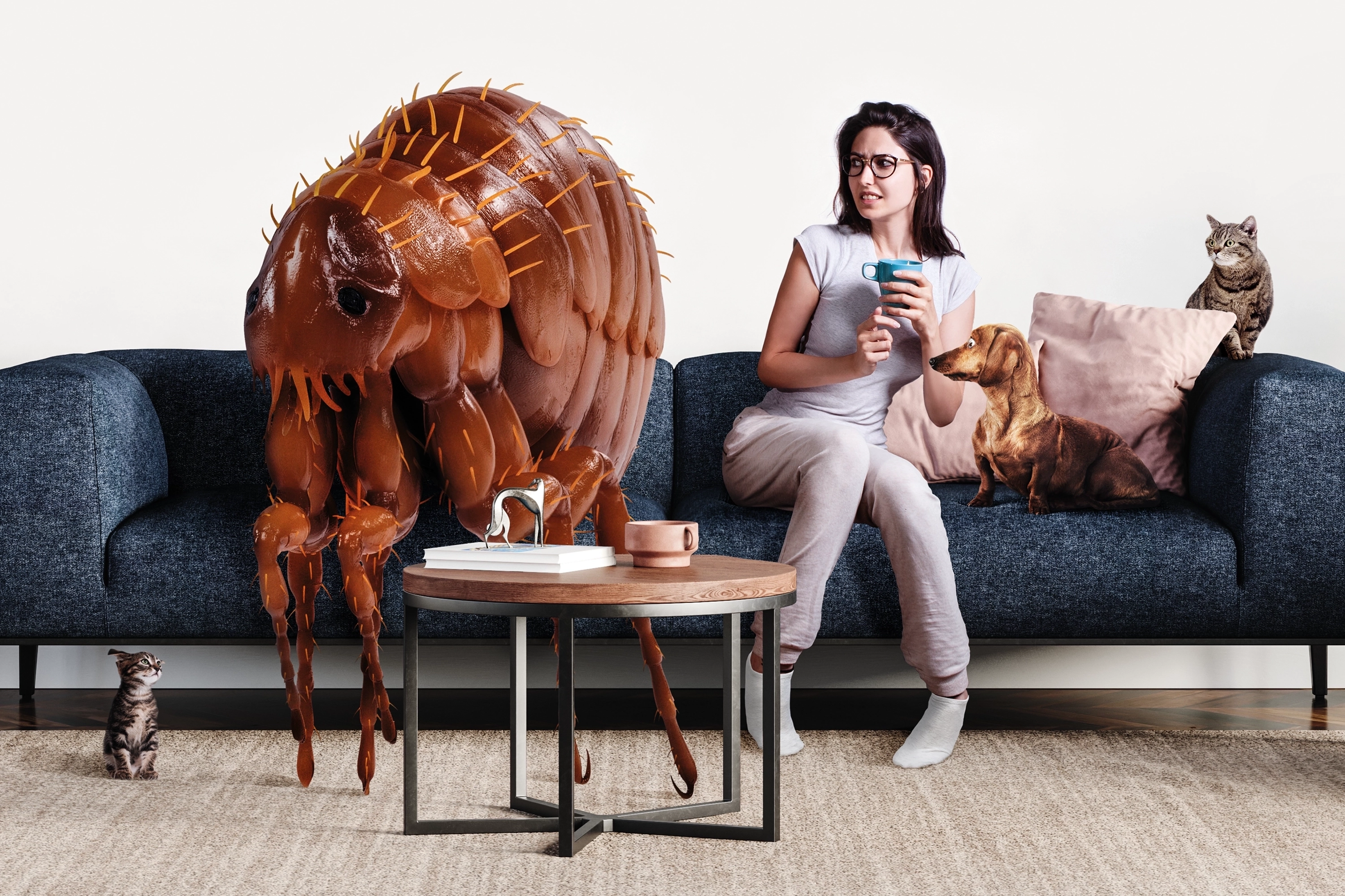 FLEE - Ungebetener Gast in deinem Wohnzimmer