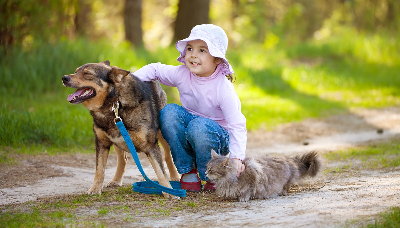 enfant-caressant-des-animaux Enfant caressant des animaux
