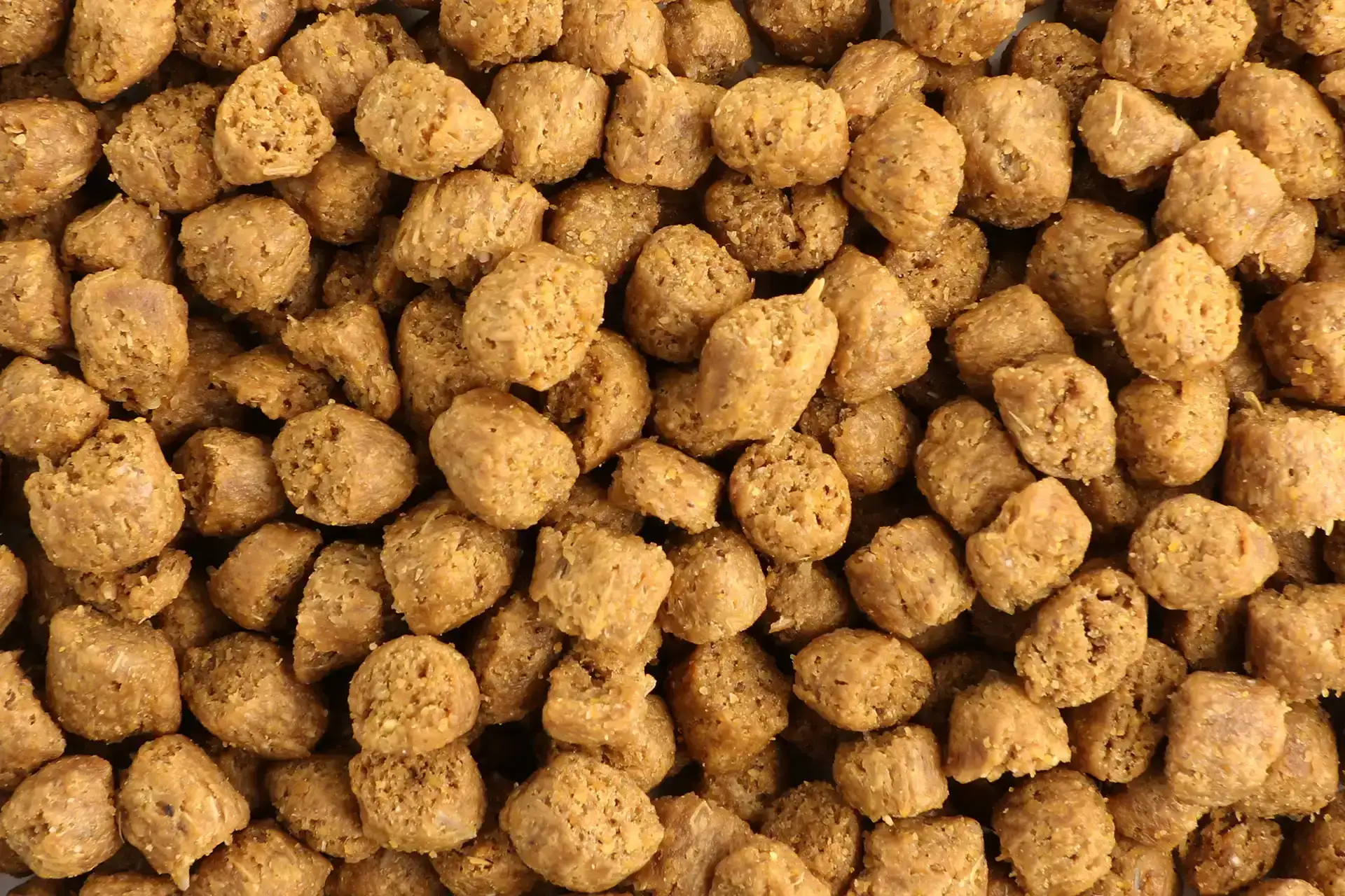 Diätfutter von Specific für adulte Katzen zur Regulierung der Glukoseversorgung (Diabetes mellitus)
