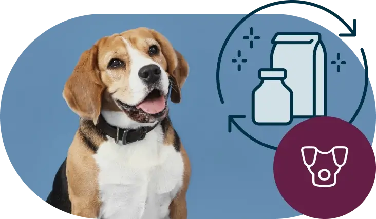 Hund Bild zum Produktfinder Hund Produktfinder Icon