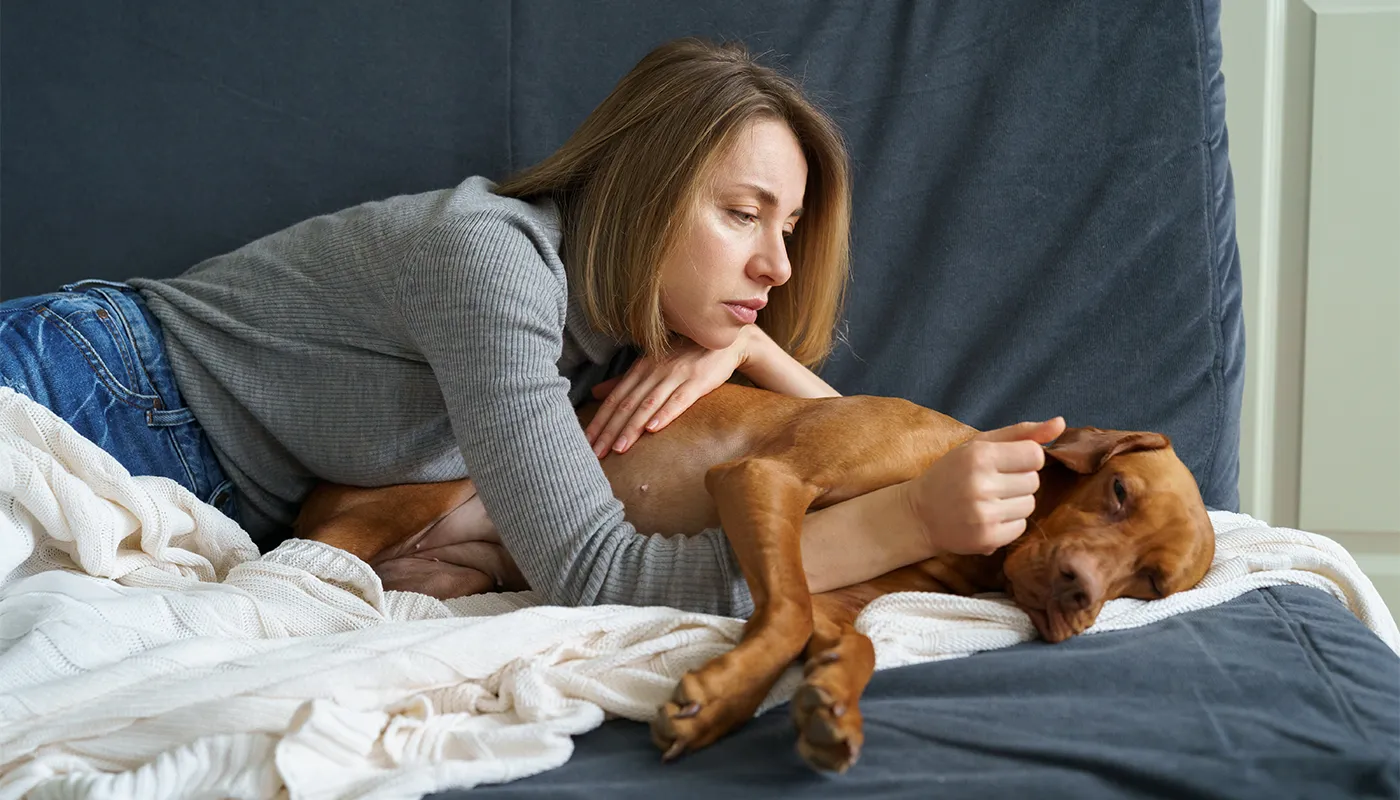Quand le chien est épuisé après l’effort : causes et solutions