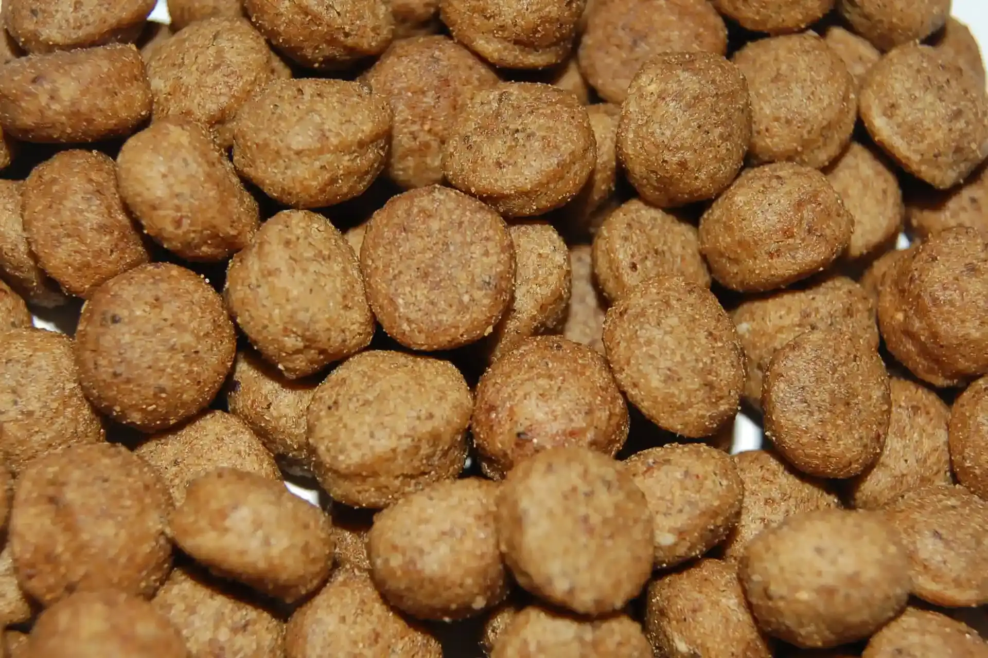 Diätfutter von Specific für adulte Hunde zur Unterstützung der Verdauungsfunktion