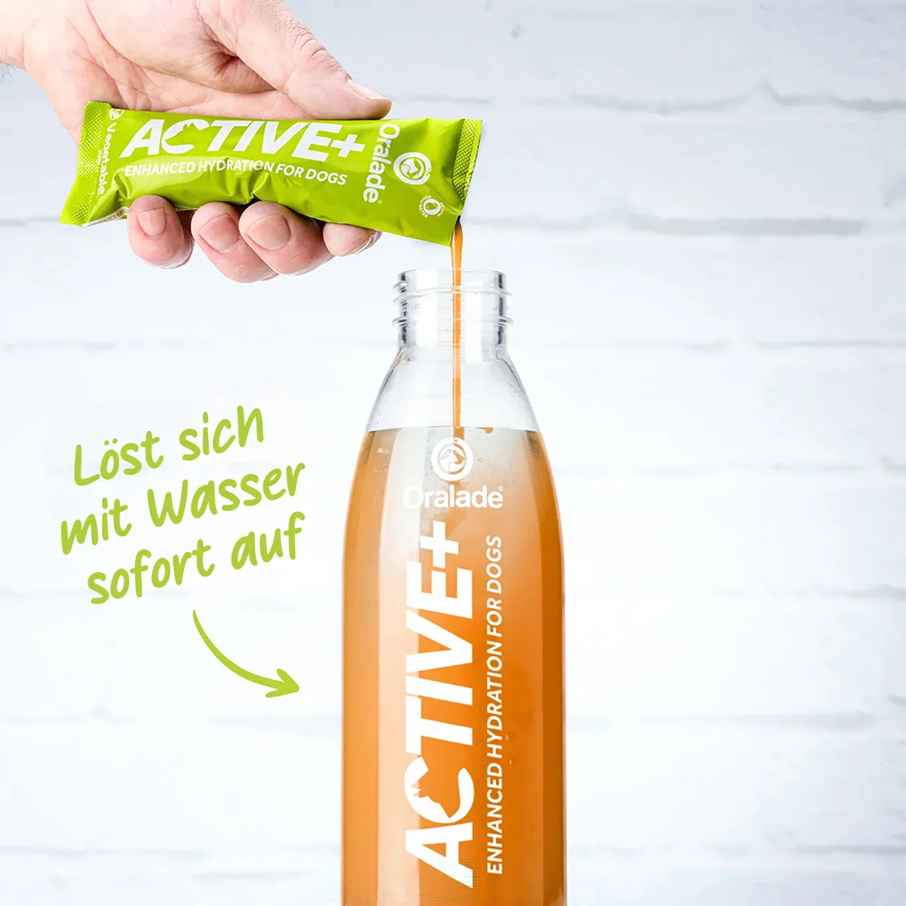 ACTIVE+ Concentrate Gemüse - elektrolythaltiges Getränk für Hunde ACTIVE+ Concentrate Gemüse - elektrolythaltiges Getränk für Hunde