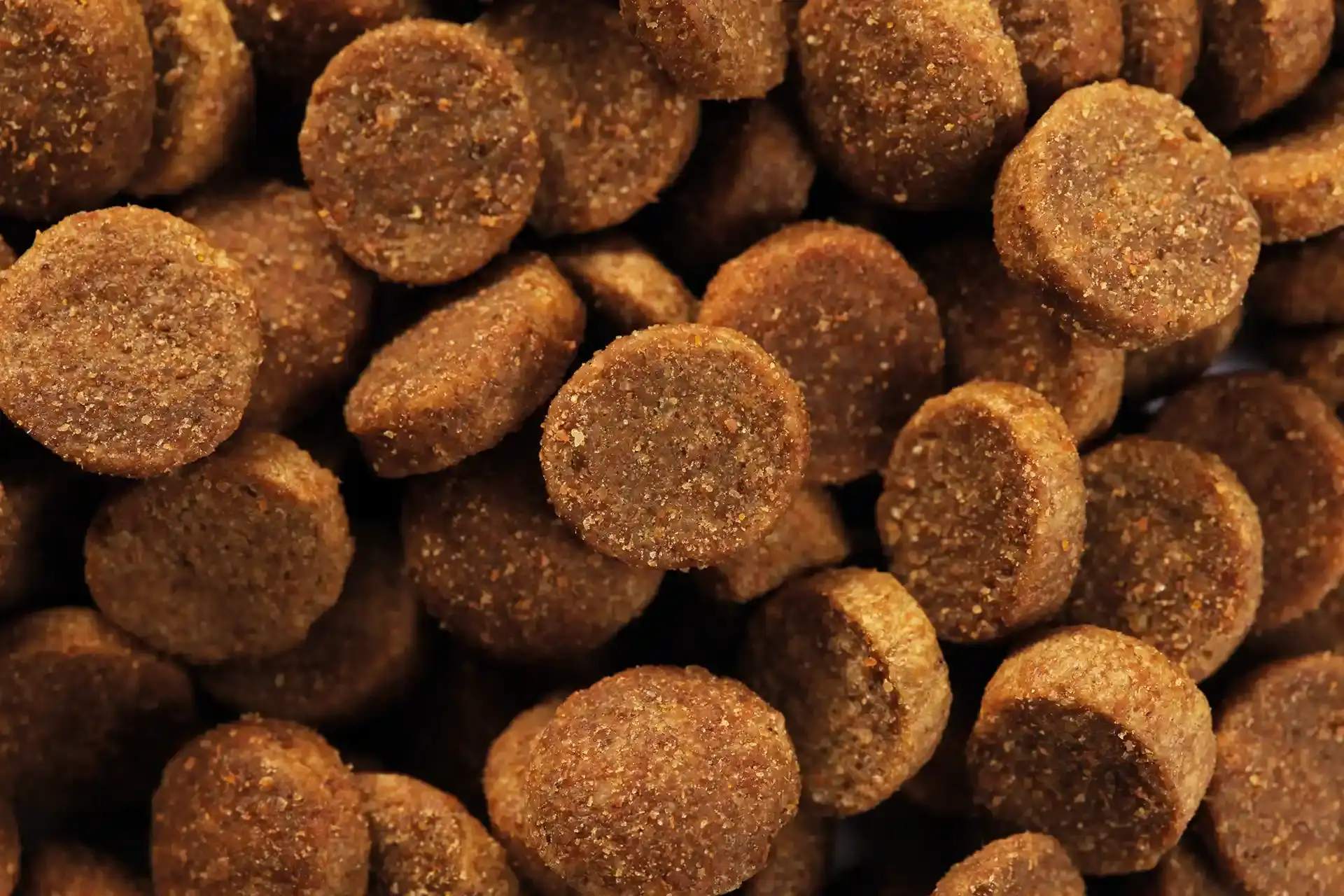 specific-cod-skin-function-support-aliments-pour-chiens Aliment diététique de Specific pour chiens adultes, pour le soutien des fonctions dermique et cardiaque