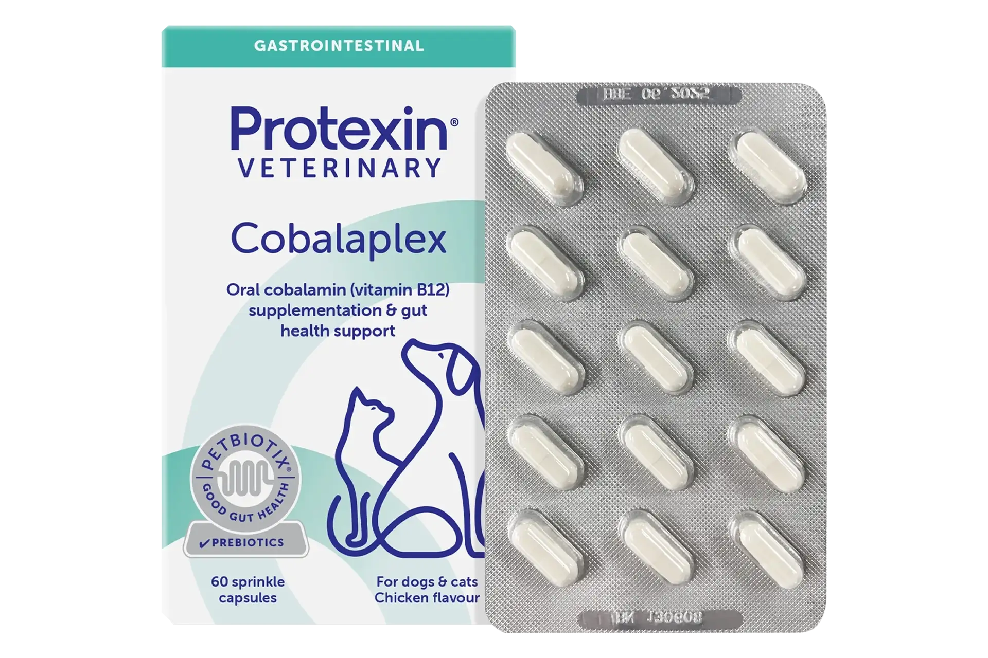 protexin-cobalaplex-ergaenzungsfuttermittel 60 Kapseln Ergänzungsfuttermittel von Protexin für Hunde und Katzen zur Unterstützung der Darmflora