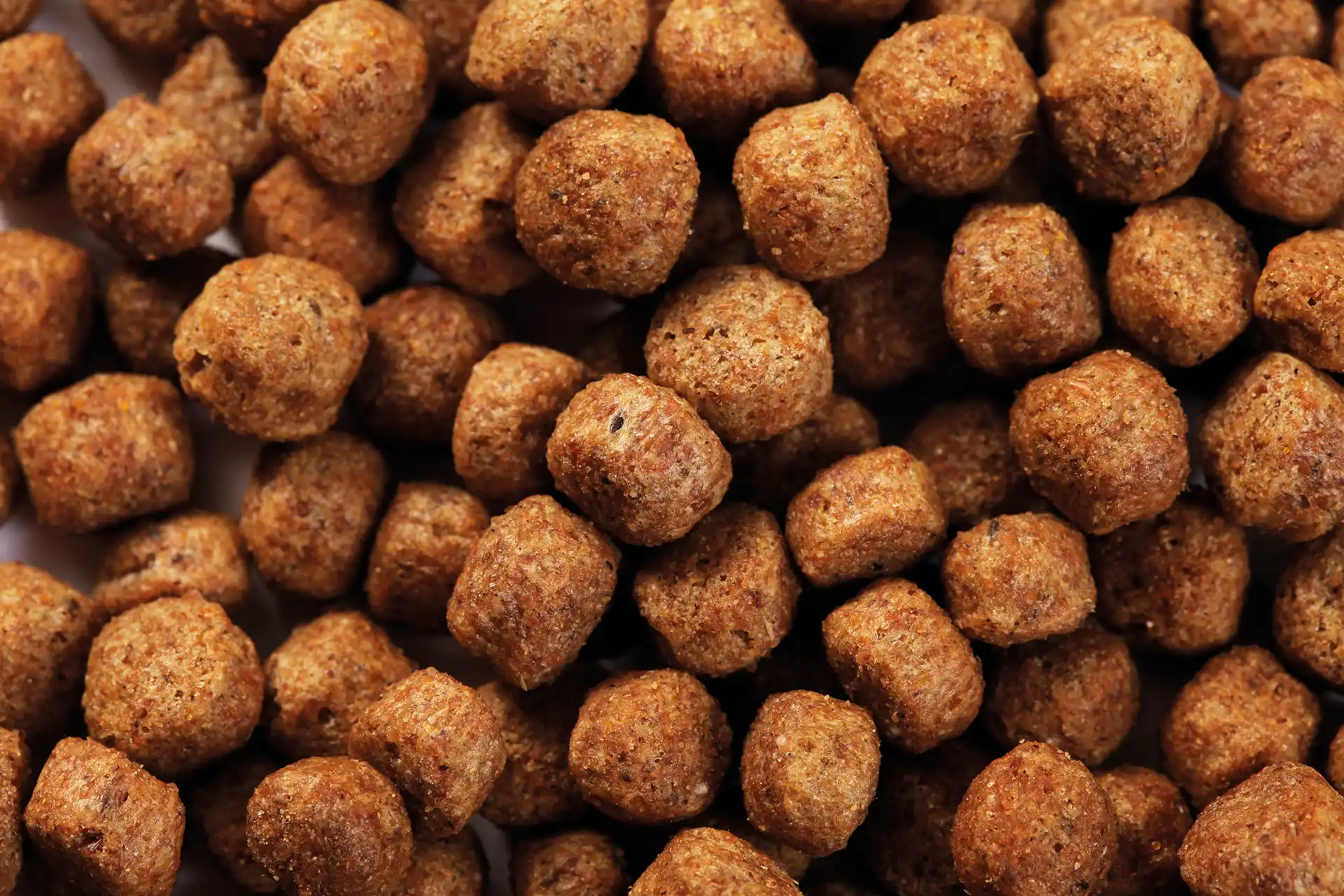 Futter von Specific für ältere Hunde mittelgrosser Rassen