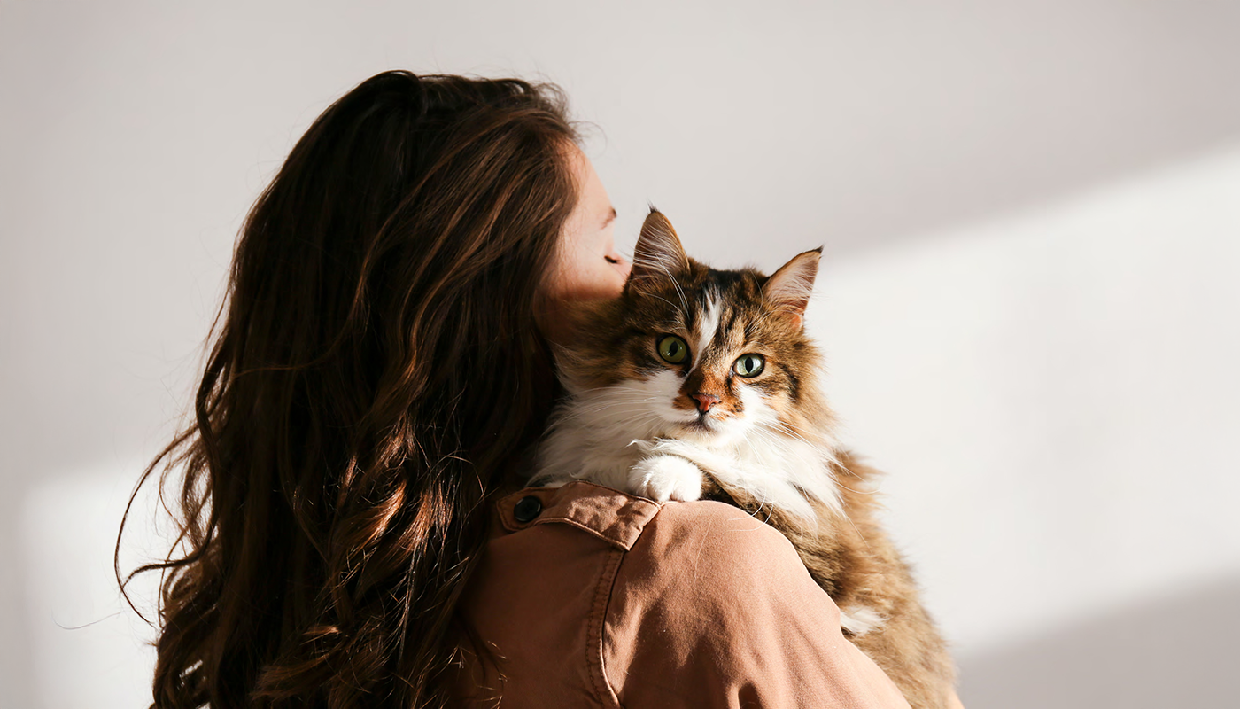 Comment aider ton chat souffrant de diarrhée chronique ?