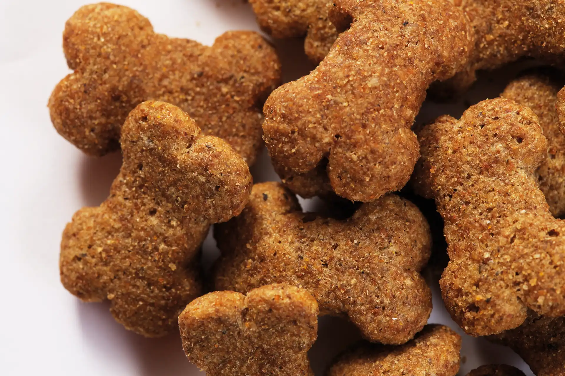 specific-ct-h-healthy-treats-aliments-pour-chiens Friandises saines de Specific pour chiens