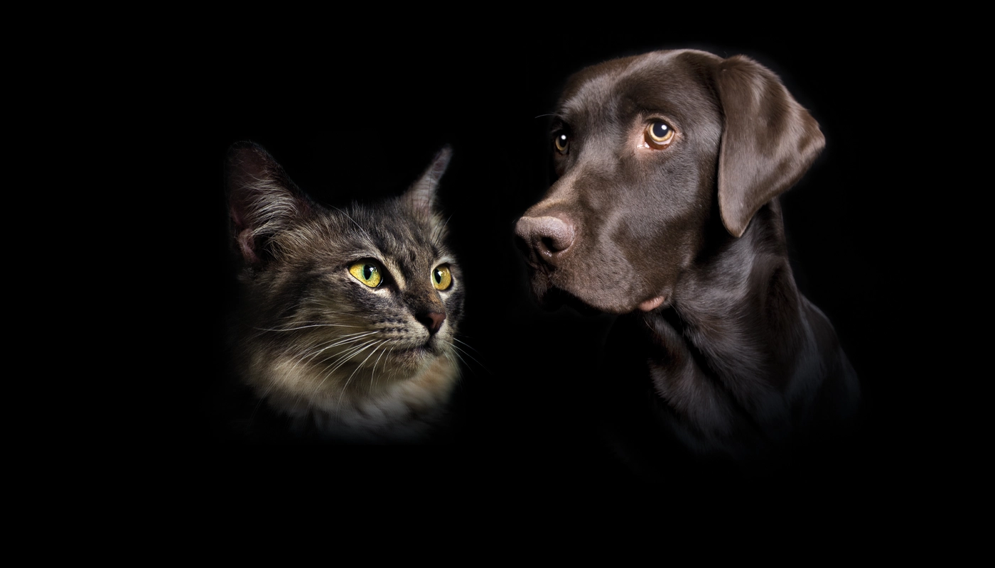 specific-alimentation-pour-chats-et-chiens Specific - Alimentation pour chats et chiens