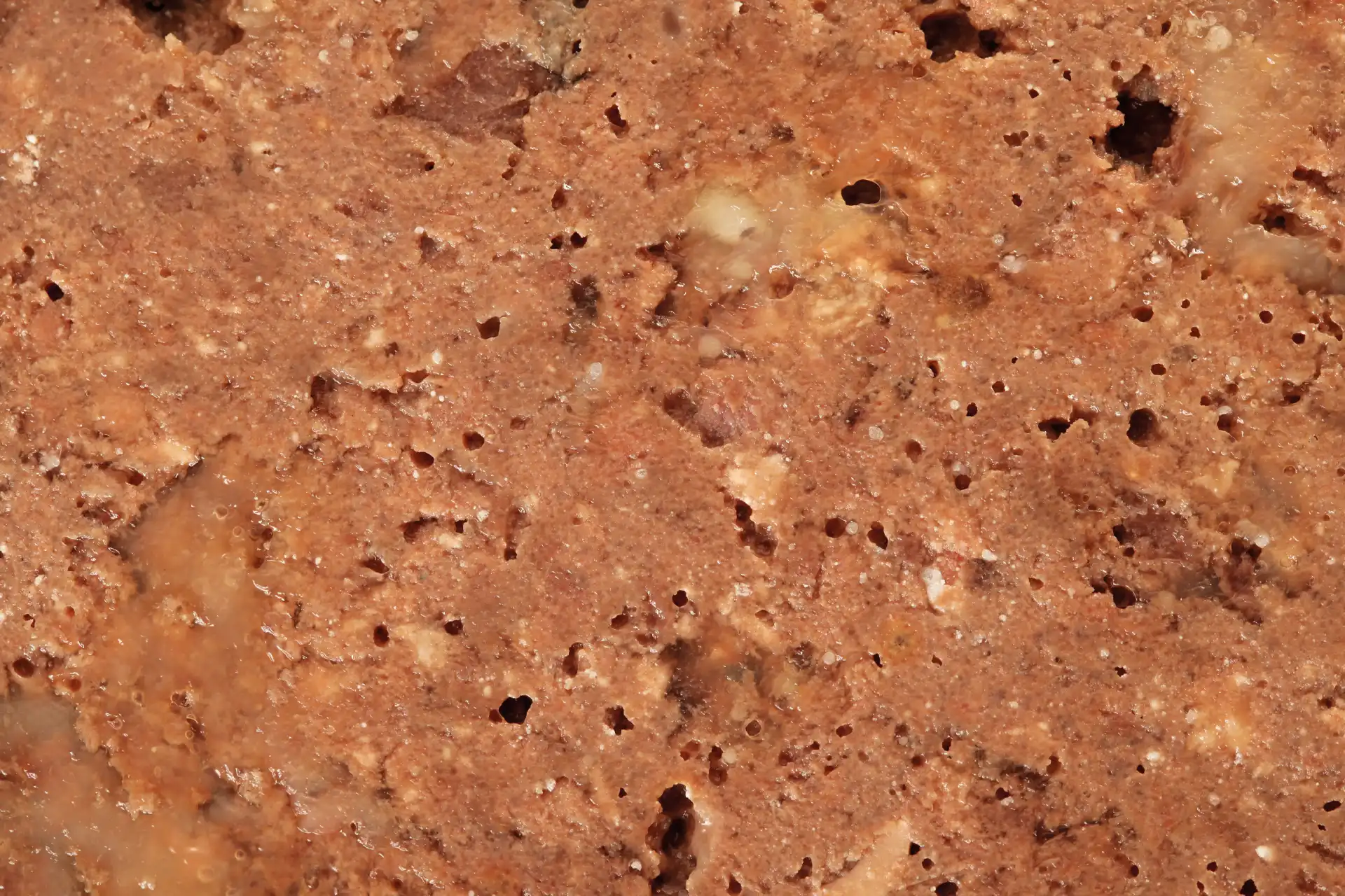 specific-cxw-adult-all-breeds-hundefutter Futter von Specific für erwachsene Hund aller Rassen