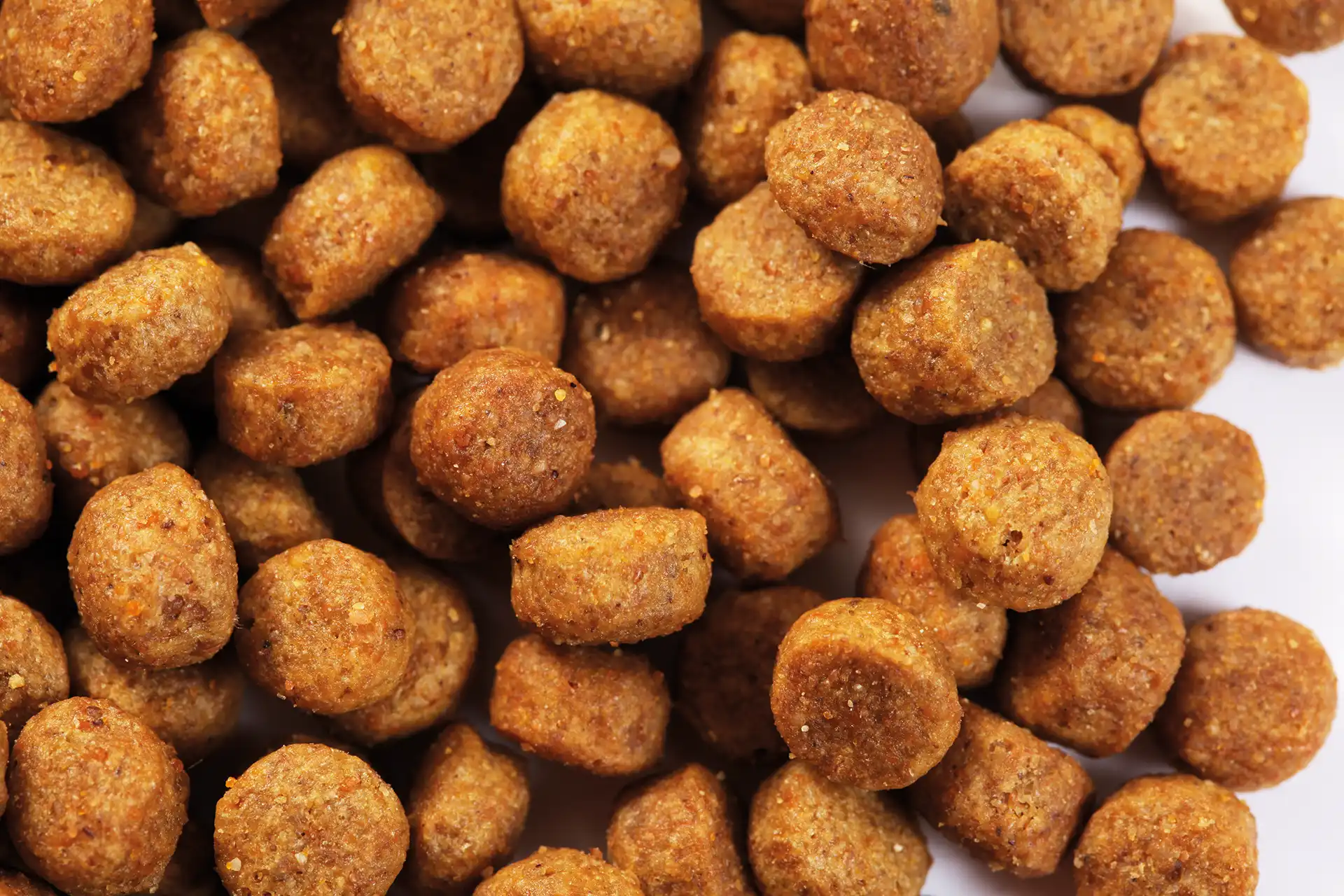 Futter von Specific für Welpen mittelgrosser Rassen