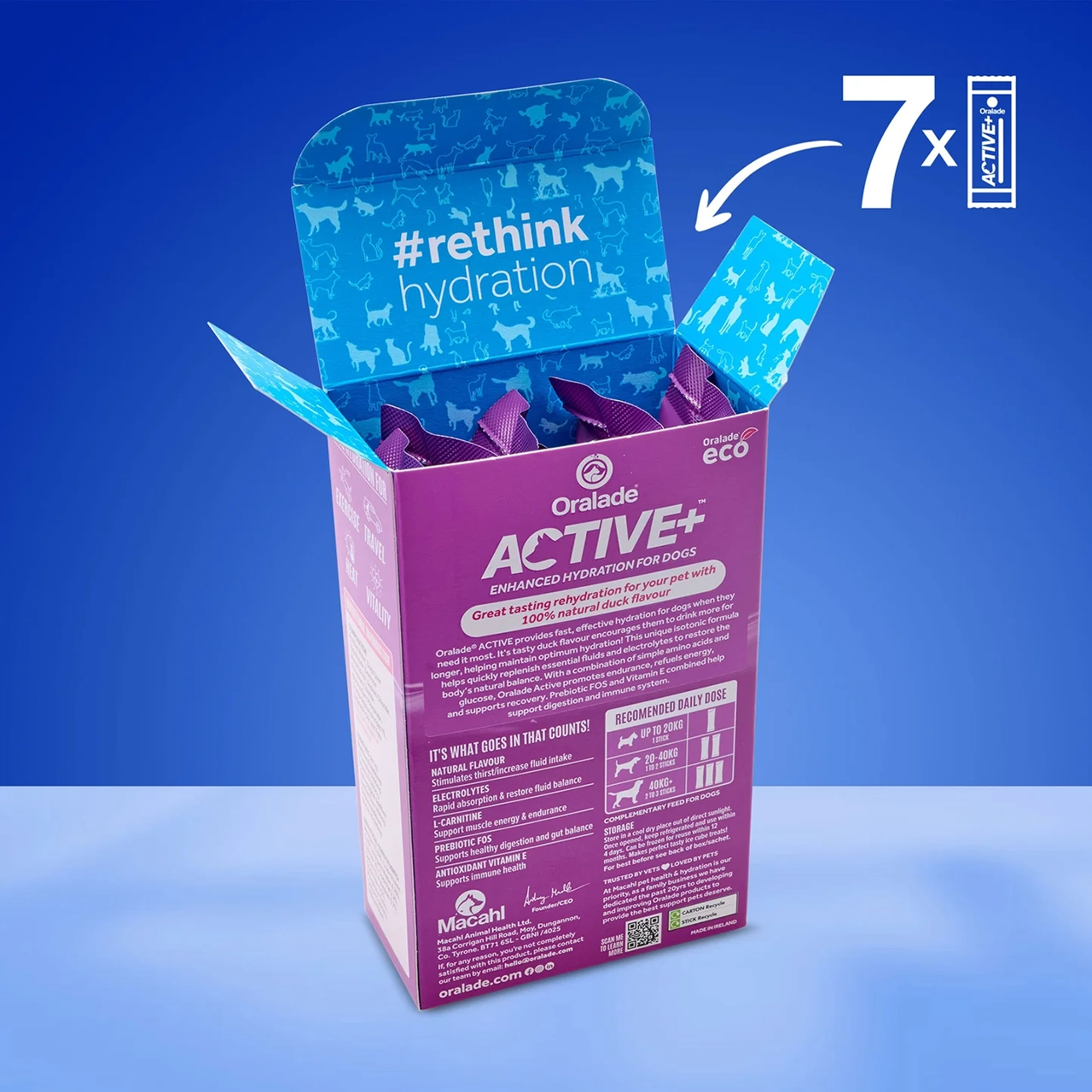 ACTIVE+ Concentrate Ente - elektrolythaltiges Getränk für Hunde