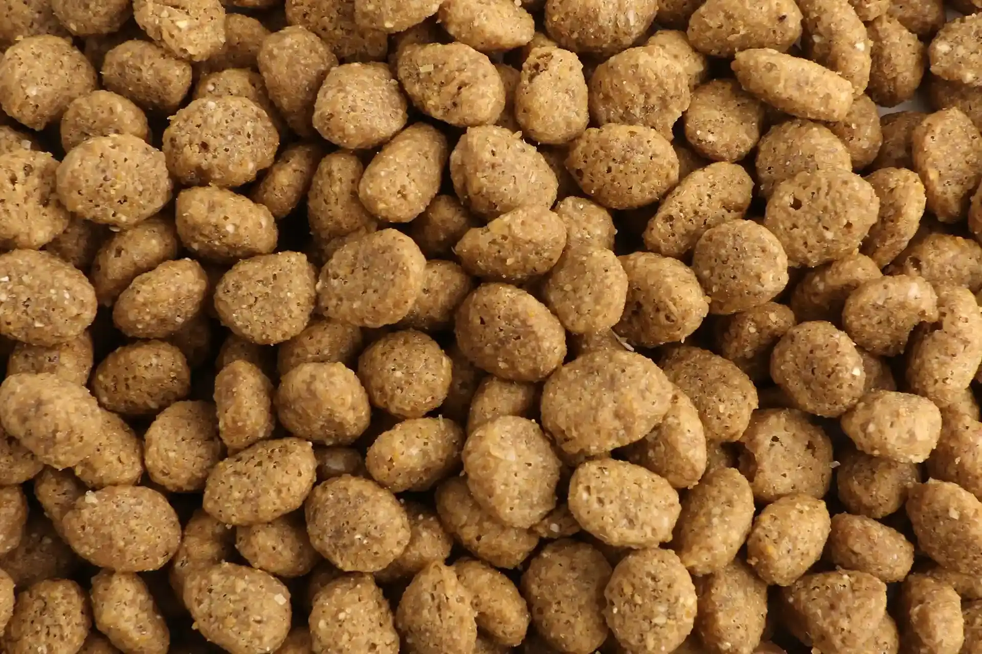 Futter von Specific für Katzen