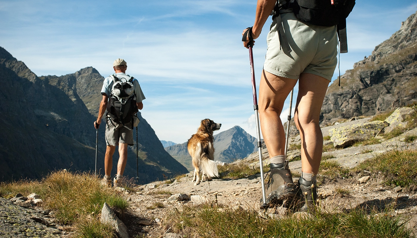 Ce qu’il faut mettre dans le sac à dos pour son chien en randonnée