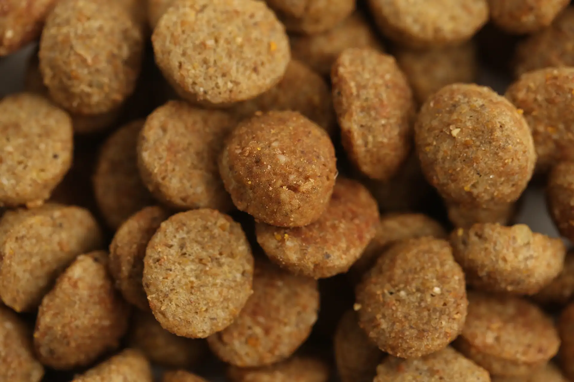 specific-fxd-adult-katzenfutter Futter von Specific für erwachsene Katzen (1-8 Jahre)