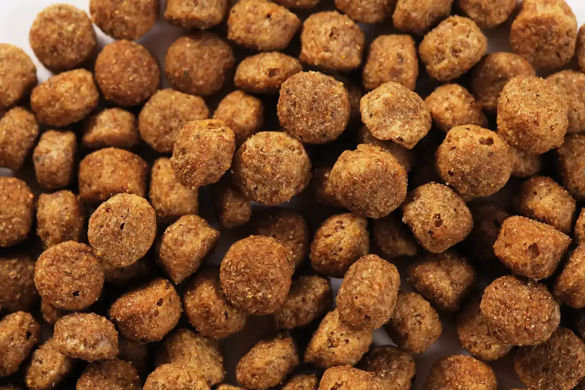 Futter von Specific für ältere Hunde kleiner Rassen
