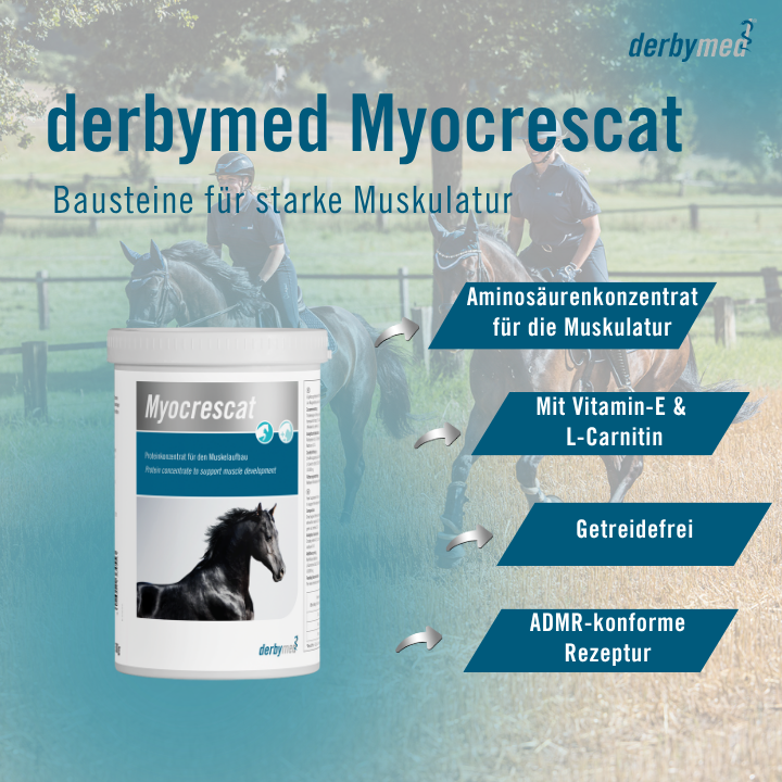 Myocrescat - für einen leistungsfähigen Muskelapparat Myocrescat - für einen leistungsfähigen Muskelapparat