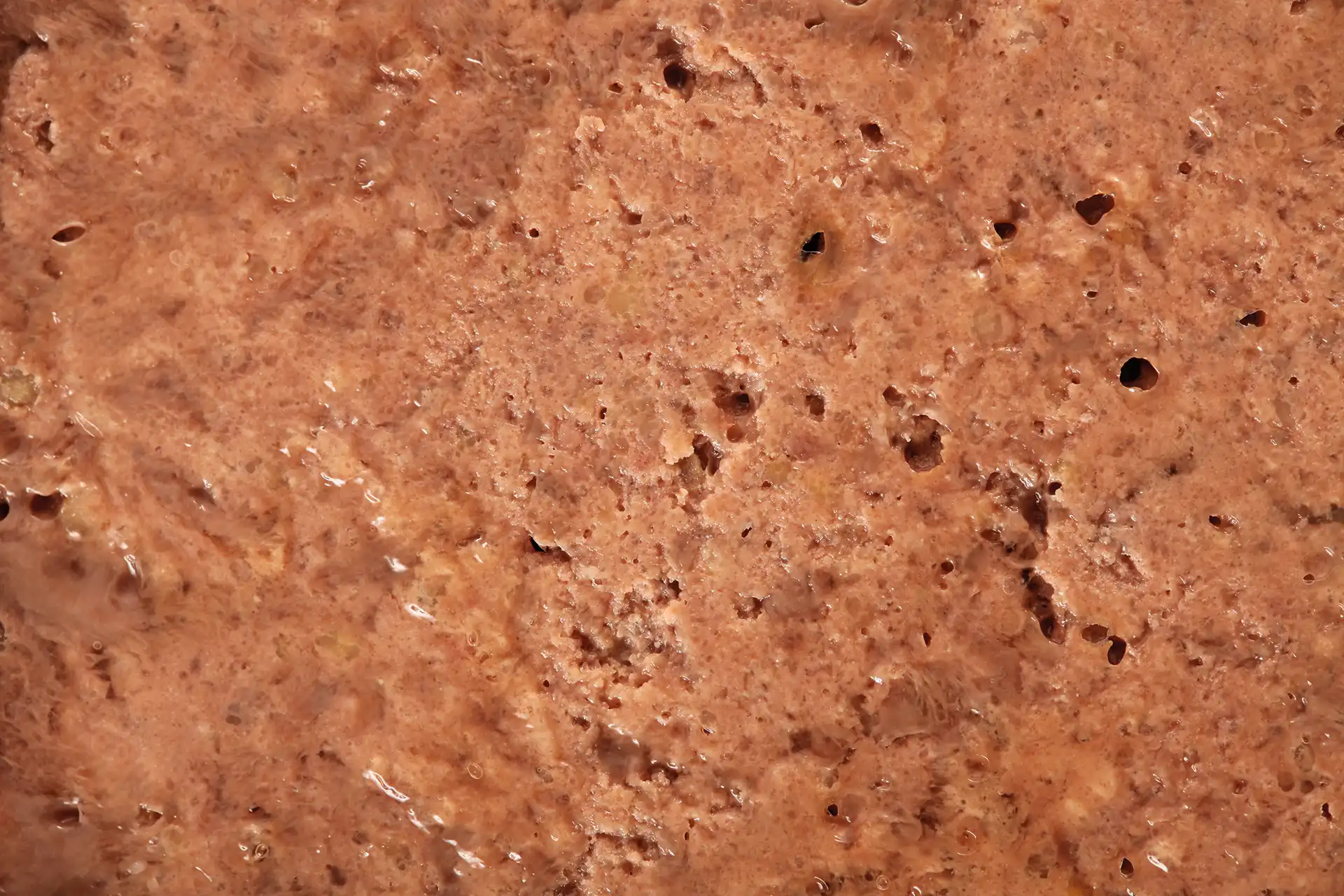 specific-fsw-struvite-dissolution-aliments-pour-chats Aliment diététique de Specific pour chats adultes, pour la dissolution des calculs de struvite