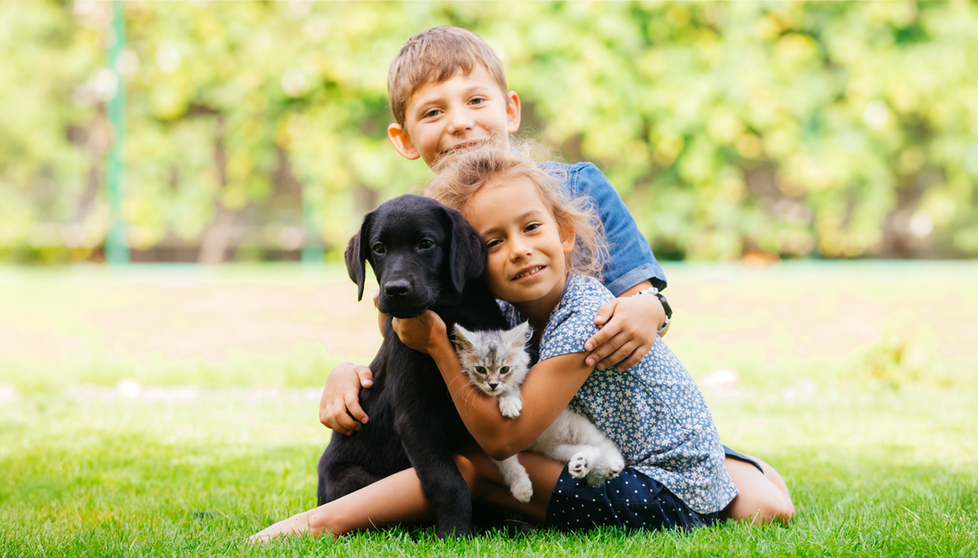 Vermifugation chez les chiens et les chats Vermifugation chez les chiens et les chats